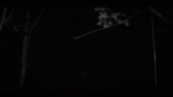 Нельзя засыпать все части. Автор: World begemot kot