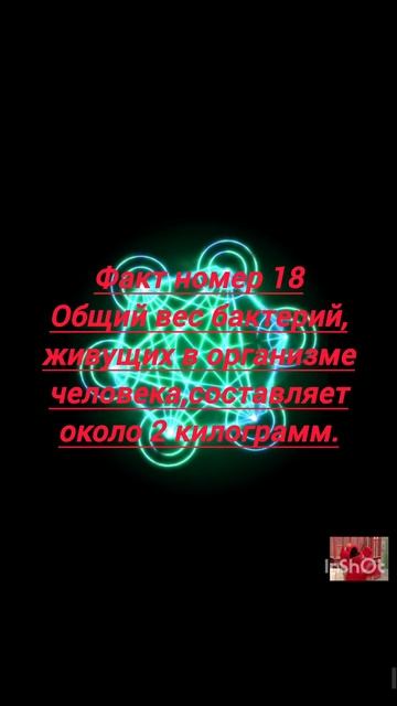 Факт18.Общий вес бактерий смотреть онлайн