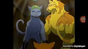 Реакция на приколы Коты Воители |3 серия| Канал Artcat