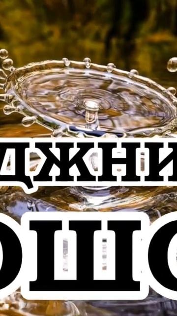 ОШО — 76 Вклад Индии в мировую культуру смотреть онлайн