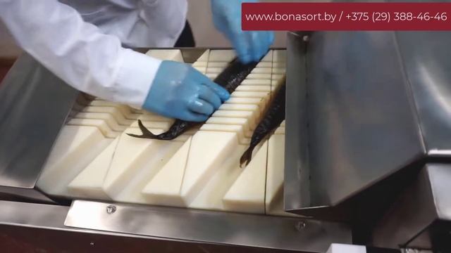 Машина для нарезки рыбы под углом с модульным транспо? смотреть онлайн