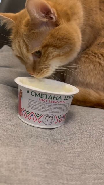 Сырные тосты🧀#простыерецепты #рецептынакаждыйдень #? смотреть онлайн