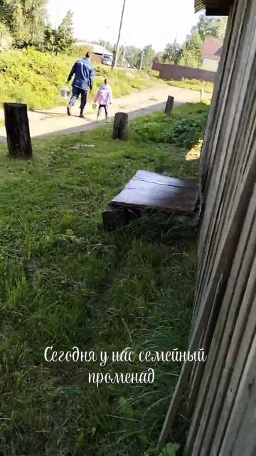 семейный подряд😁 #2024 #погода #вятка #nature #киров #грибы смотреть онлайн