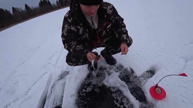 С ЗИМЫ ДО ВЕСНЫ В ОДИН ШАГ! РЫБАЛКА НА РЕЧКЕ И ОЗЕРЕ! ЗИ? смотреть онлайн