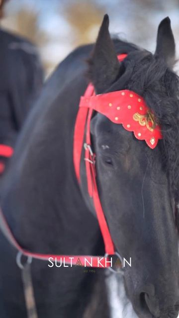 Казахский стиль смотреть онлайн