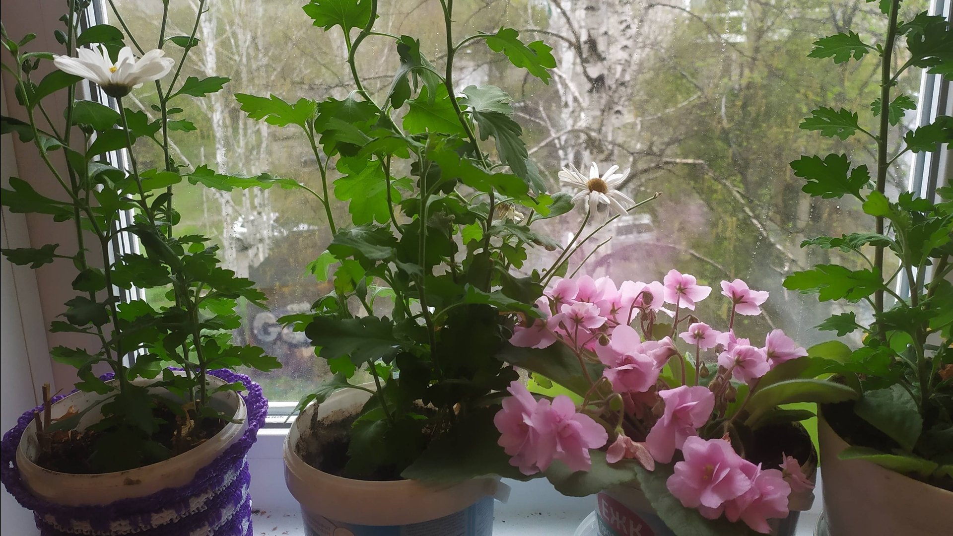 ВСЁ В КУЧУ. ОБО ВСЕМ. смотреть онлайн