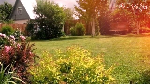 Лучшие примеры красивых садовых участков / Great Ideas For Land