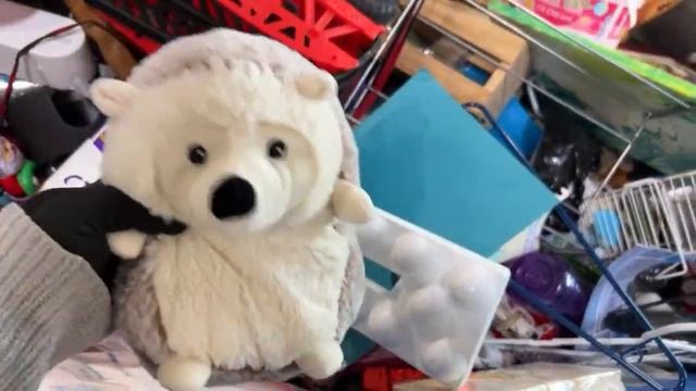 СВАЛКА В США Секонд Хенд на Вес #OlyaSineevaUSA #goodwilloutlet смотреть онлайн