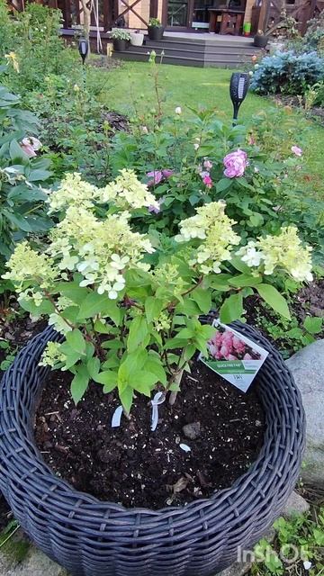 Квик файер фаб.👍 смотреть онлайн