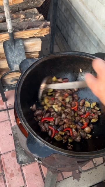 Куриные сердечки с овощами в казане на костре смотреть онлайн