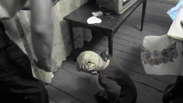 Папа, научи танцевать! смотреть онлайн