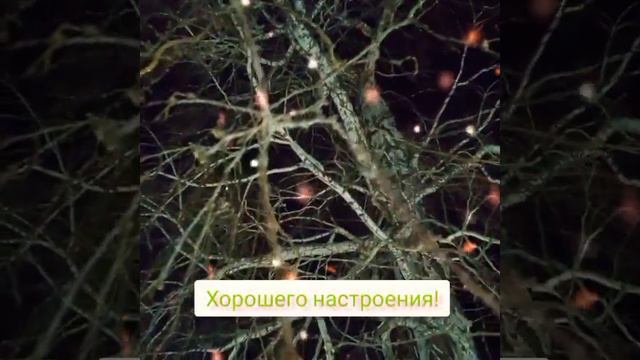 Барнаул# погода # луна#Любэ#музыка # смотреть онлайн