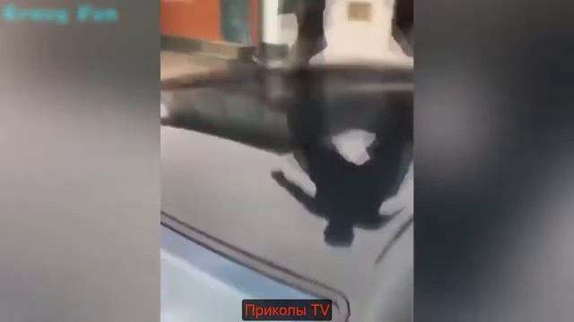 СМЕШНЫЕ ВИДЕО, ПРИКОЛЫ, ВИДЕО ПРИКОЛЫ, НОВЫЕ ПРИКОЛЫ 2018, ПРИКОЛЫ ДО СЛЕЗ, СМЕШНЫЕ ПРИКОЛЫ, ЛУЧШИЕ смотреть онлайн