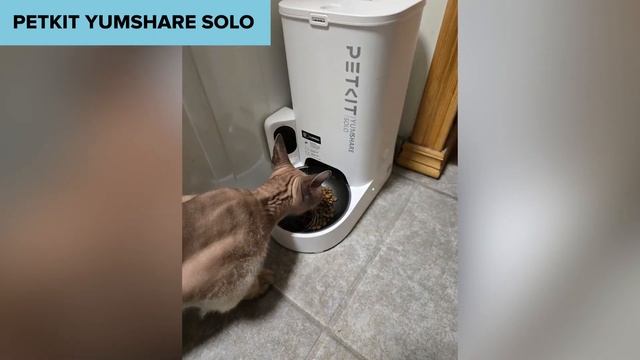 ТОП—7. Лучшие автоматические кормушки (автокормушки) ? смотреть онлайн