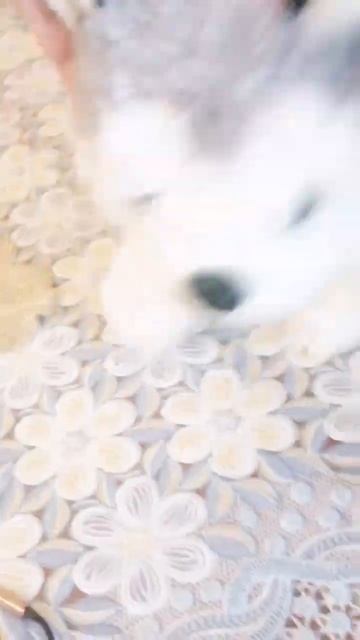 О ребята Смотрите тут есть радио смотреть онлайн