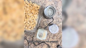 Сушеный ЧЕСНОК Как приготовить в сушилке дегидраторе