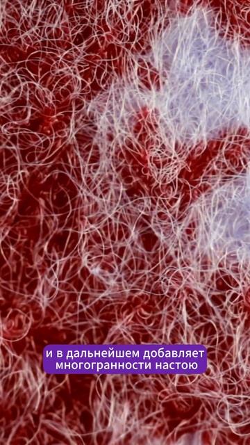 Что такое наработка чайника? #чайная_церемония #китайс