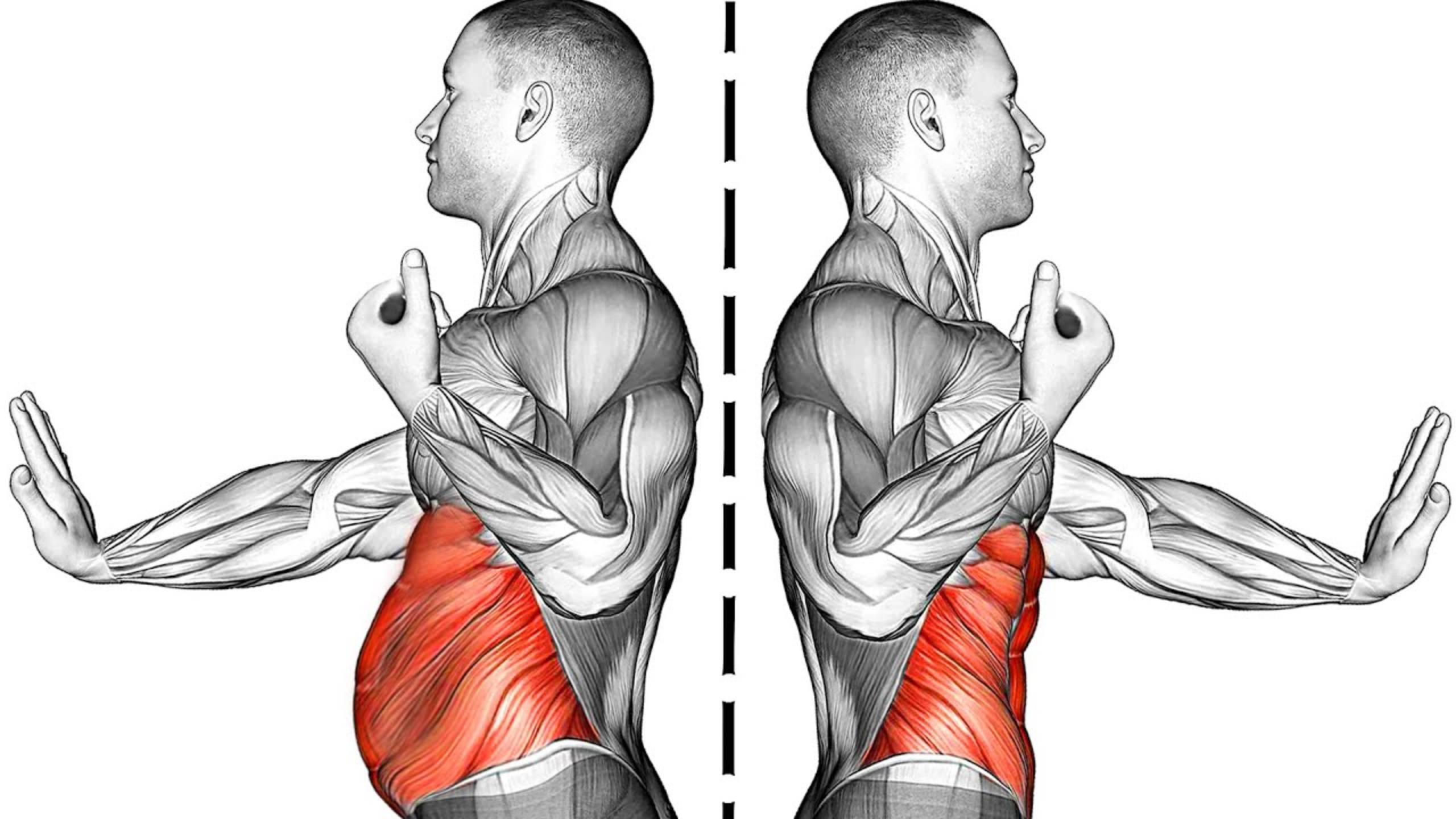 Сжигание ЖИРА на Животе (тренировка пресса) смотреть онлайн