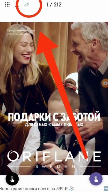 Где найти ссылку на онлайн-каталог в приложении "Магаз смотреть онлайн