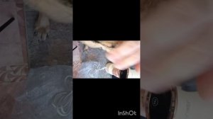 Ручной отпариватель с ОЗОН