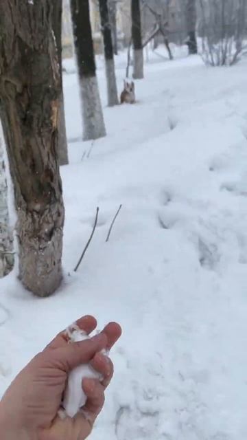 Нижний Новгород +2 А какая у вас погода? смотреть онлайн