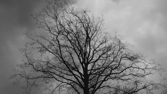 "КАК МЫ С ДРУГОМ ПОЕХАЛИ РАБОТАТЬ НА АНТАРКТИДУ" - Стра? смотреть онлайн