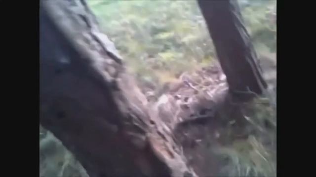 Охотники 80 уровня смотреть онлайн