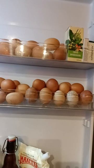 Свои,домашние,чистый продукт🥚🥚🐔#жизньвдеревне #Че? смотреть онлайн