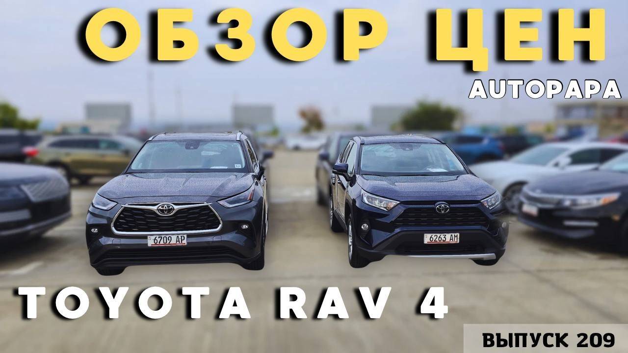 Ищем RAV-4 в Грузии! Обзор актуальных цен Автопапа. смотреть онлайн