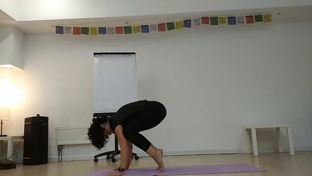 20240813 Вт 20-00. Хатха йога для начинающих. Москва м.Бауман? смотреть онлайн