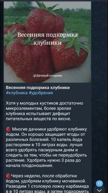 Как бабушки оживляют почву? Секрет раскрыт! #огород #да смотреть онлайн