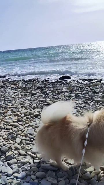 Анапа сегодня 13.03.2025г.Прекрасное чёрное море, погода +24 смотреть онлайн