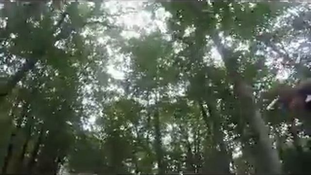 Влог/Иду на большой ахун/Сочи