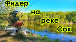 ФИДЕР/ОТКРЫТИЕ ФИДЕРНОГО СЕЗОНА/ВЕСЕННЯЯ РЫБАЛКА НА РЕКЕ СОК/ЛОВЛЯ ПЛОТВЫ И ГУСТЕРЫ/РЫБАЛКА В САМАРЕ
