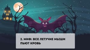 Окружающий мир | Летучие мыши: удивительные факты 🦇