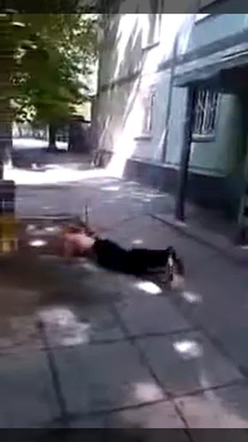 Прикол (Ну зачем ты кинул ) смотреть онлайн