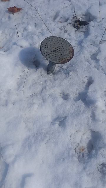 Носик лейки жестяной 2-ого Марта ещё больше выбрался и?