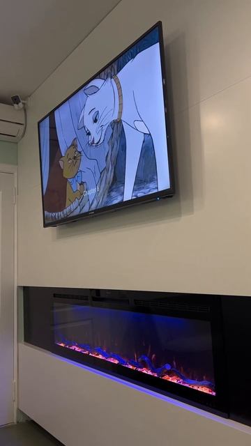 Почему это есть только в Твери ? #фотограф #влог #лечени смотреть онлайн