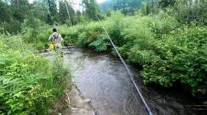Рыбалка на Хариуса в Сибирской ТАЙГЕ/Тайга и ее Речушка.