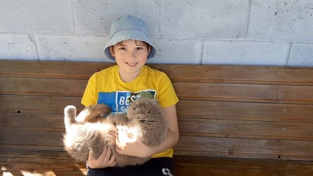 Чипсы из говядины ТМ "Идеально к пиву" смотреть онлайн