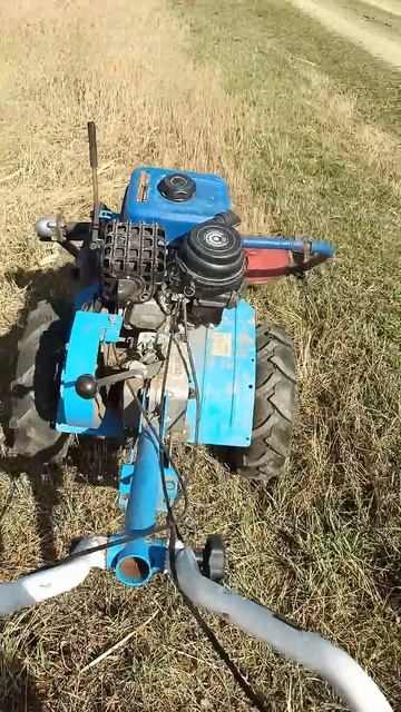 Лошади пасутся, а я кошу сухую траву #horse #лошади смотреть онлайн