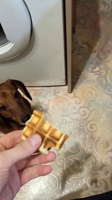 #kitfort, #бытоваятехникаkitfort kt-1611 смотреть онлайн