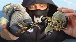 Вот Почему Лобстеры Ненавидят Спинорогов