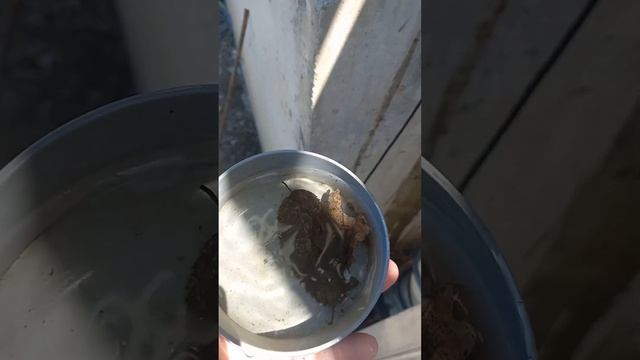 сбор дождевой воды в Сочи ремонт водонагревателя смотреть онлайн