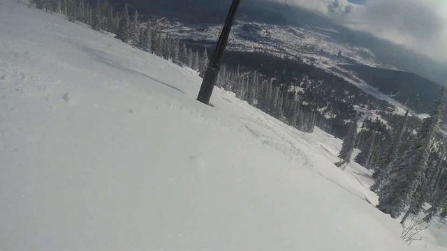 Солнце ёлки фрирайд