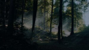 Egger Eversence - Ламинат