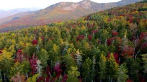 Музыка для расслабления.