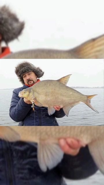 выбери размер леща #fishing #carpfishing #fish #новости #майнкрафт смотреть онлайн