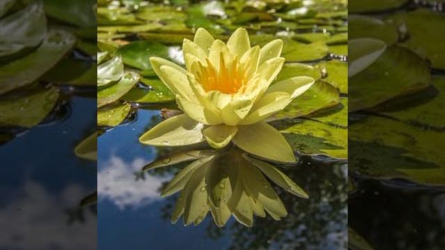 У каждого из нас на свете есть места...🌳🌏💚 смотреть онлайн