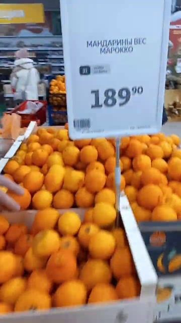 23 декабря 2023 г. смотреть онлайн